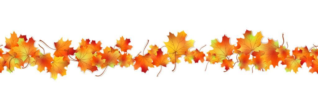 A row of autumn leaves on a white background