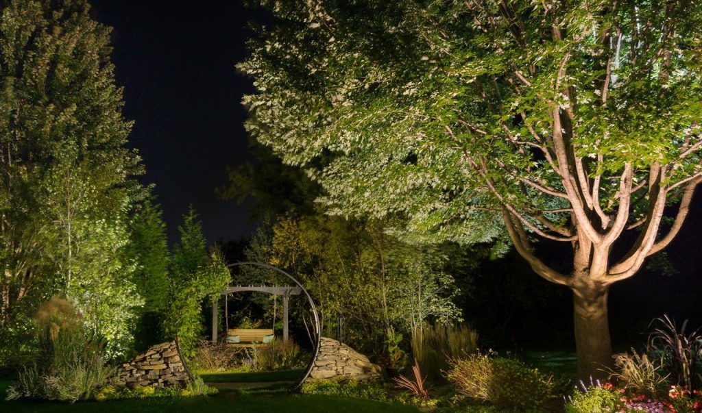 A tree in a garden is lit up at night.