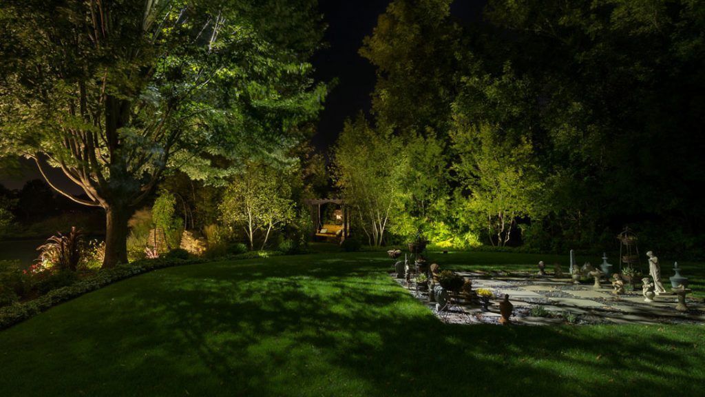 A lush green yard with trees and bushes lit up at night.