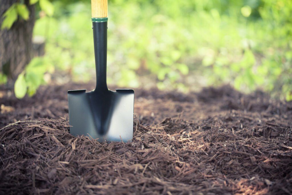 A shovel is sitting in the middle of a pile of mulch.