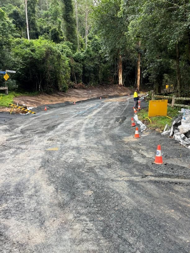 A Dirt Road Surrounded by Trees and Cones — Adam Lowe Earthmoving Pty Ltd in Somersby, NSW