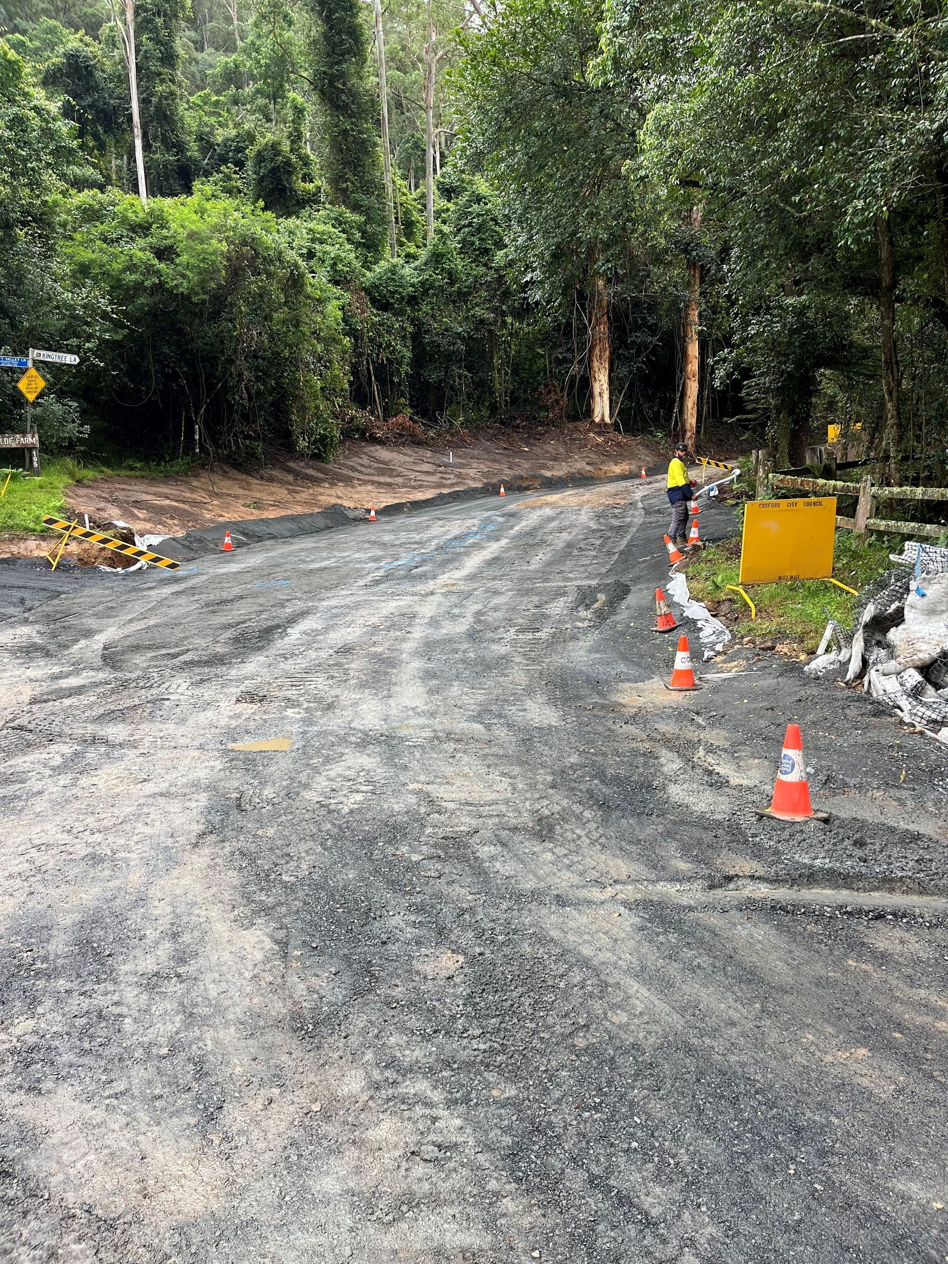 A dirt road surrounded by trees and cones. — Adam Lowe Earthmoving Pty Ltd in Somersby, NSW