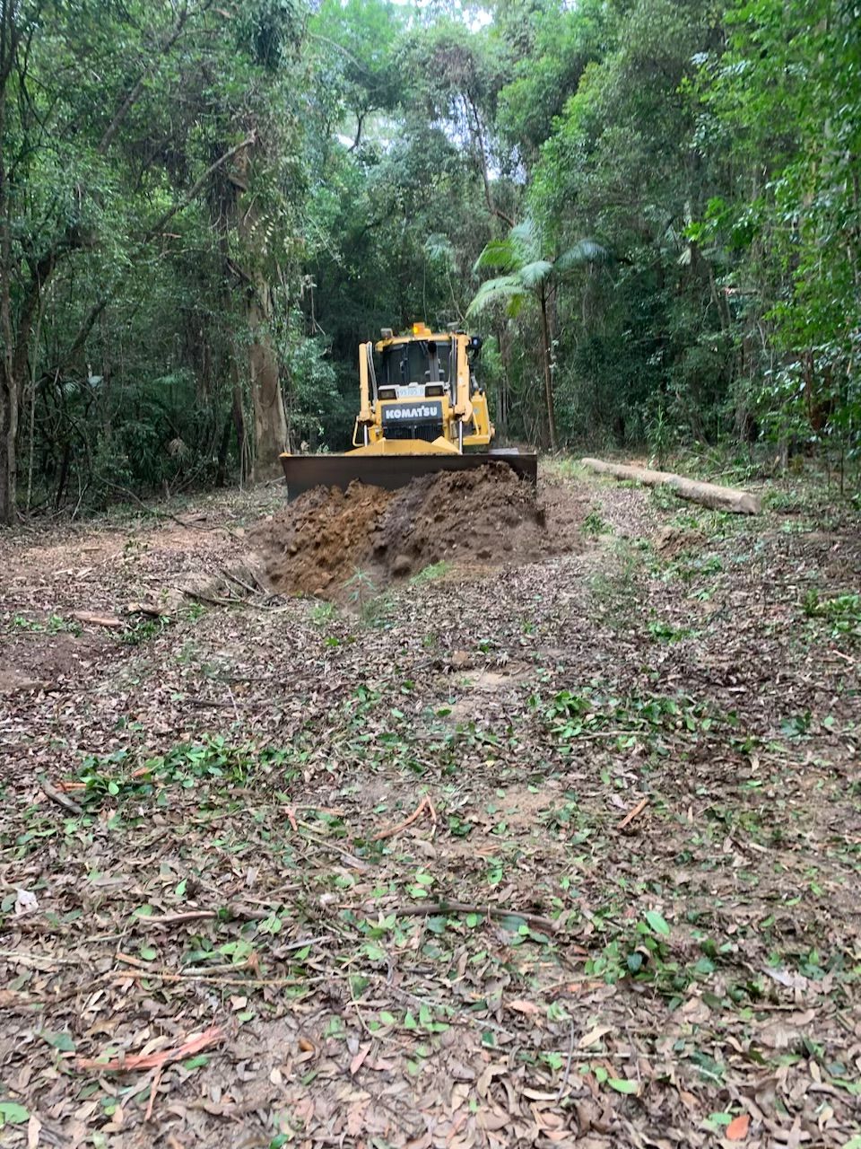 A bulldozer is moving dirt in the middle of a forest. — Adam Lowe Earthmoving Pty Ltd in Somersby, NSW