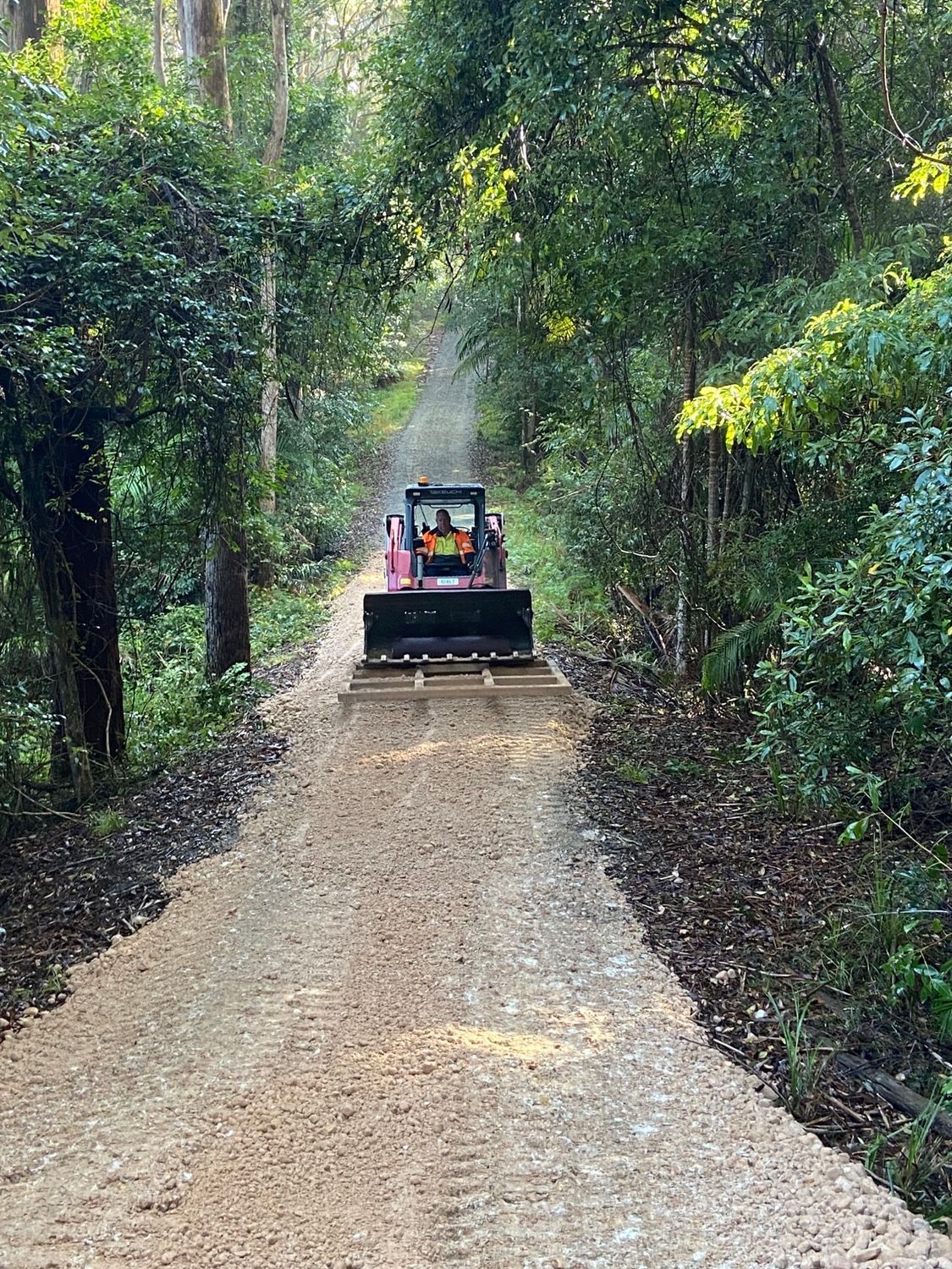 A bulldozer is driving down a dirt road in the woods. — Adam Lowe Earthmoving Pty Ltd in Somersby, NSW
