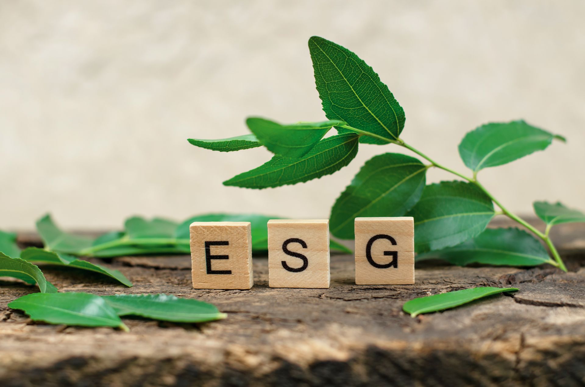 cubos com as letras ESG