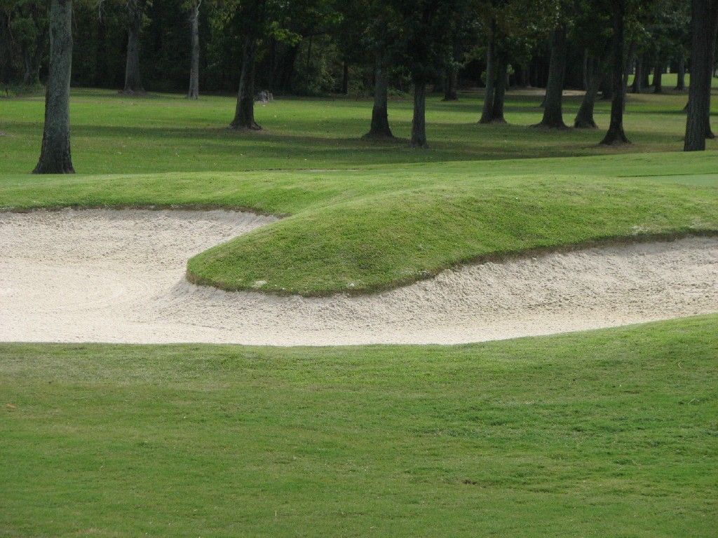 Sand | Trinity, AL | Terry Equipment Company, LLC