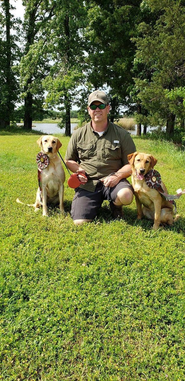 Man kneels in grass with two yellow labs. Green trees and lake in background. Sunny day.