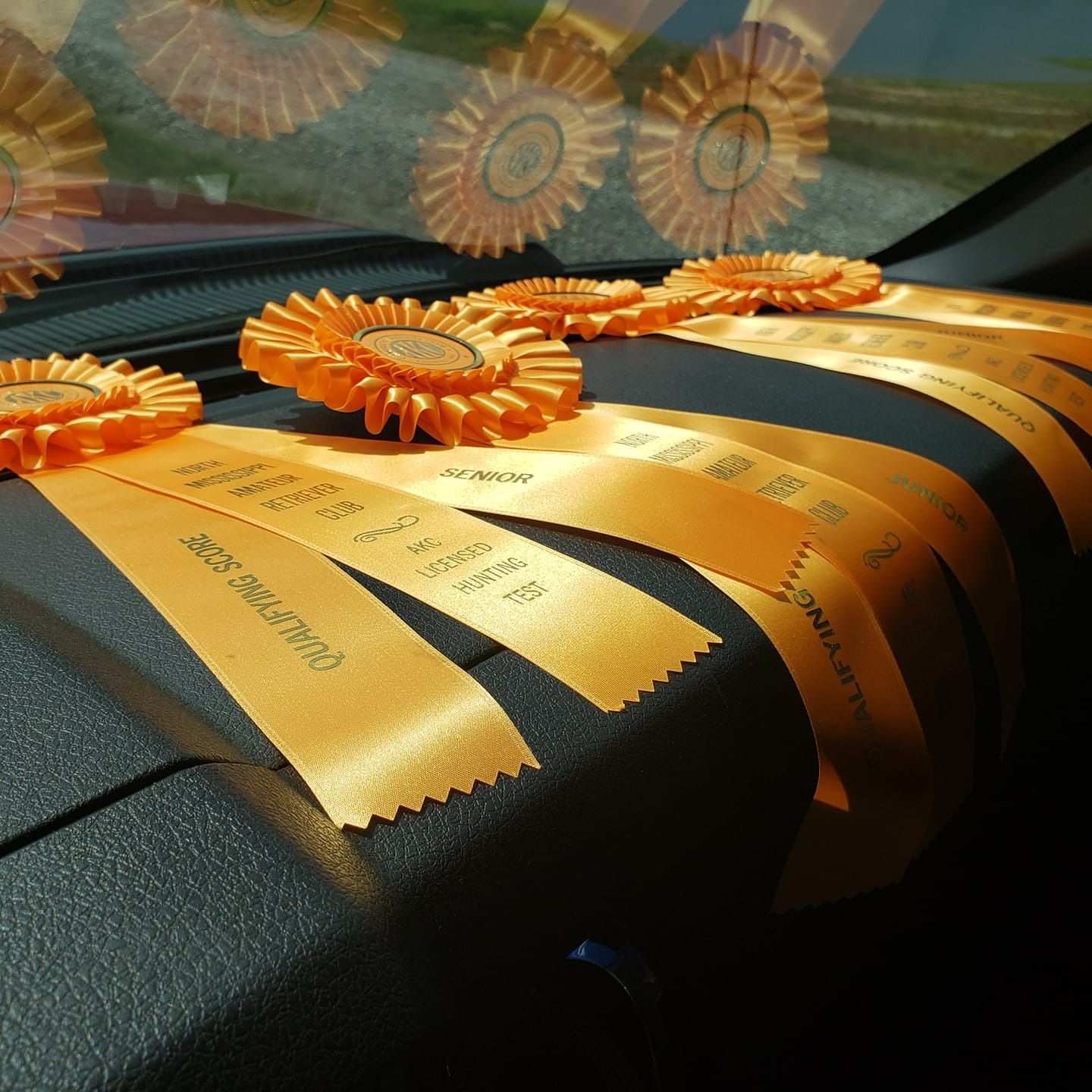 Orange ribbons and rosettes on a car dashboard, likely from a horse show.