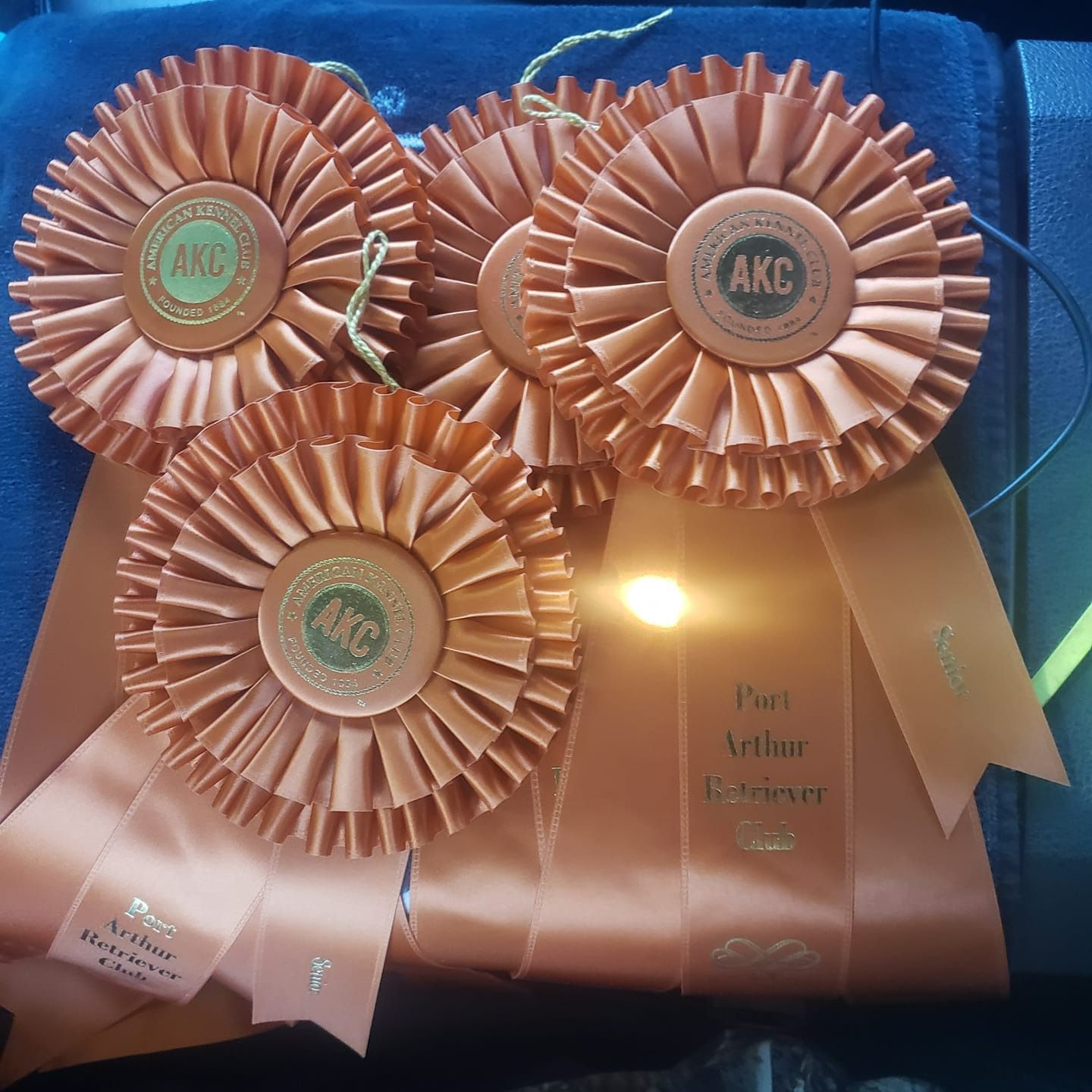 Orange AKC rosettes with ribbons, text reads, 
