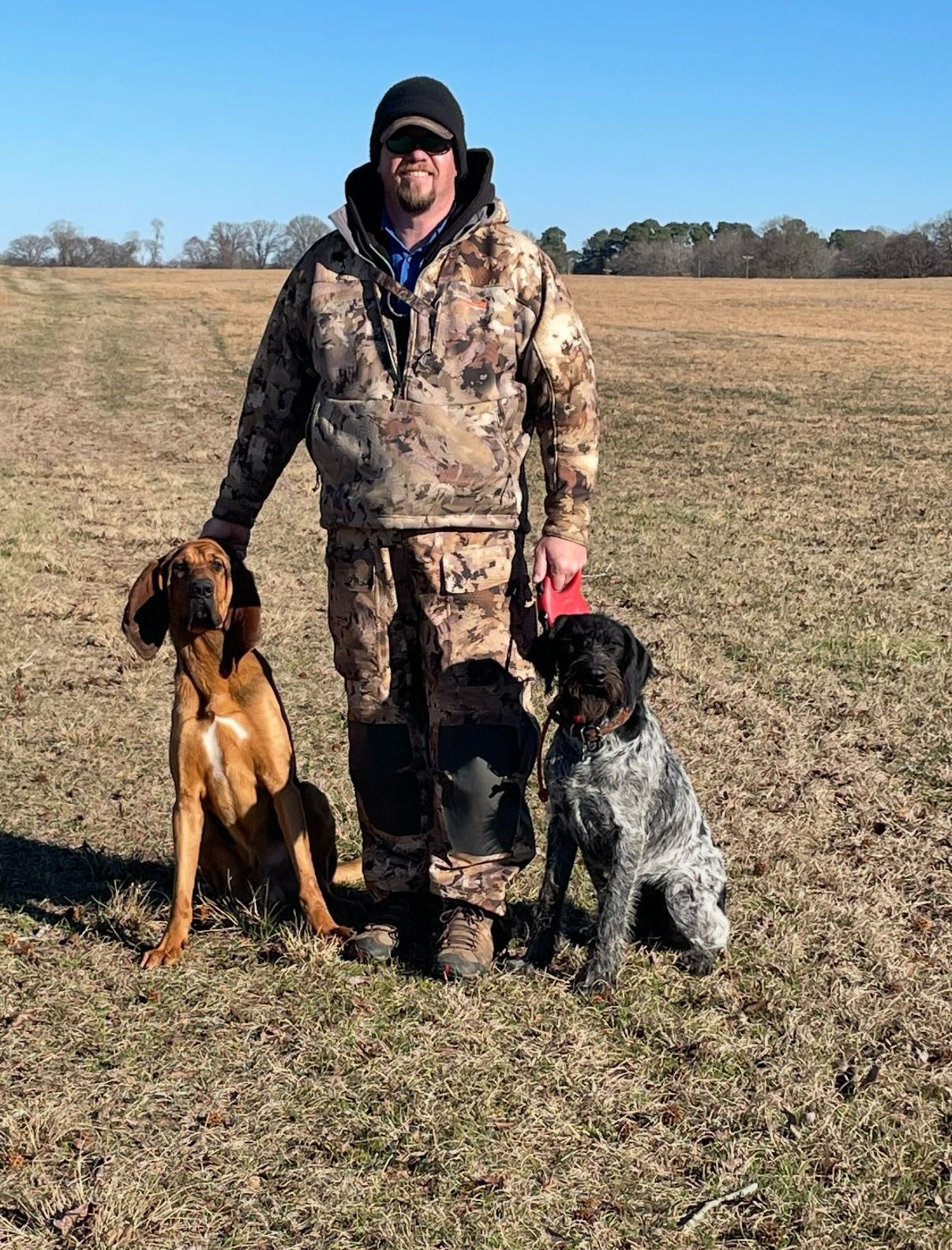 Man in camo with two hunting dogs in a field.