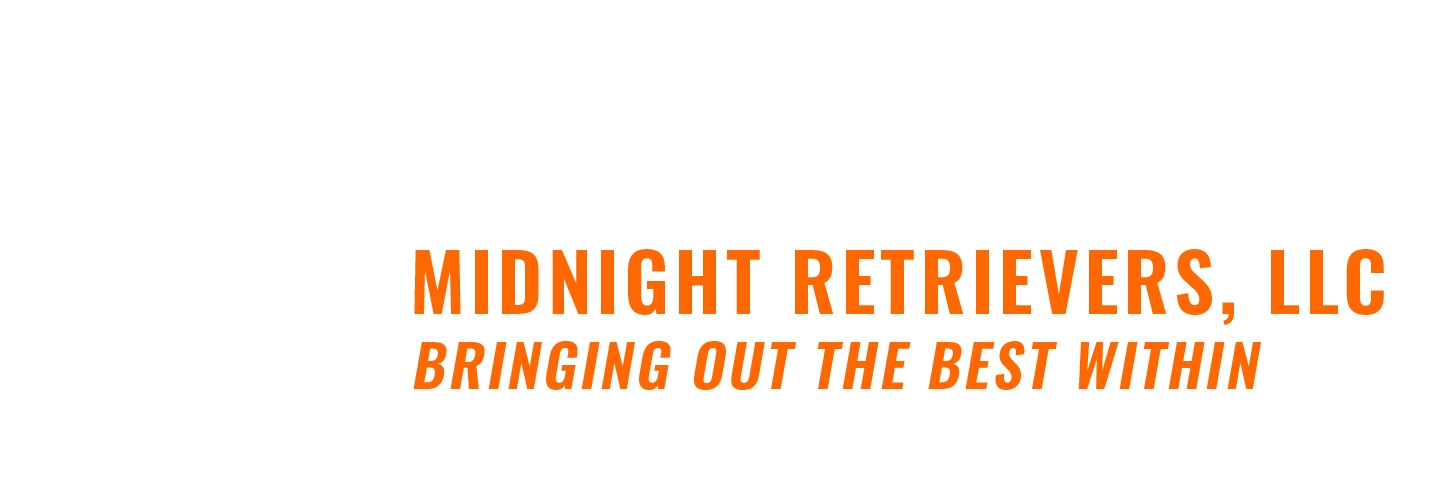 Logo for Midnight Retrievers, LLC. Orange text on white background. 