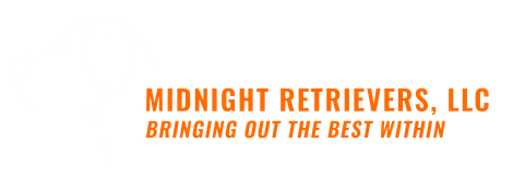 Text logo for Midnight Retrievers, LLC in orange. 