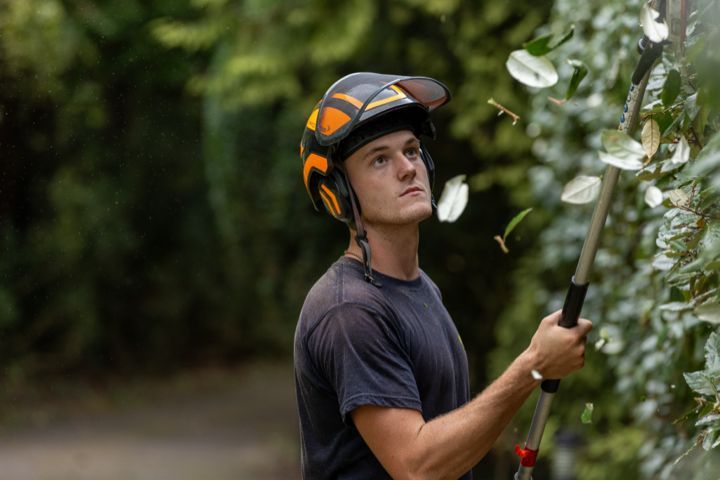 5 Signs You Need to Call a Tree Surgeon Right Away