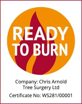 ready to burn logo