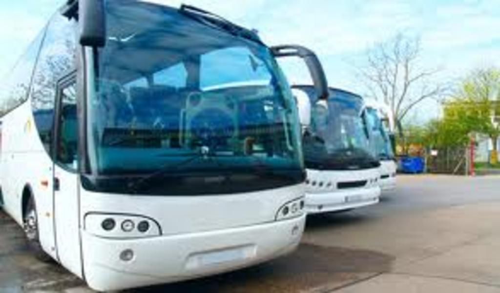 Three white buses are parked next to each other in a parking lot.
