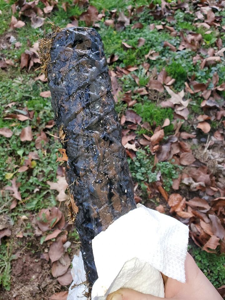 A person is holding a piece of food in their hand.