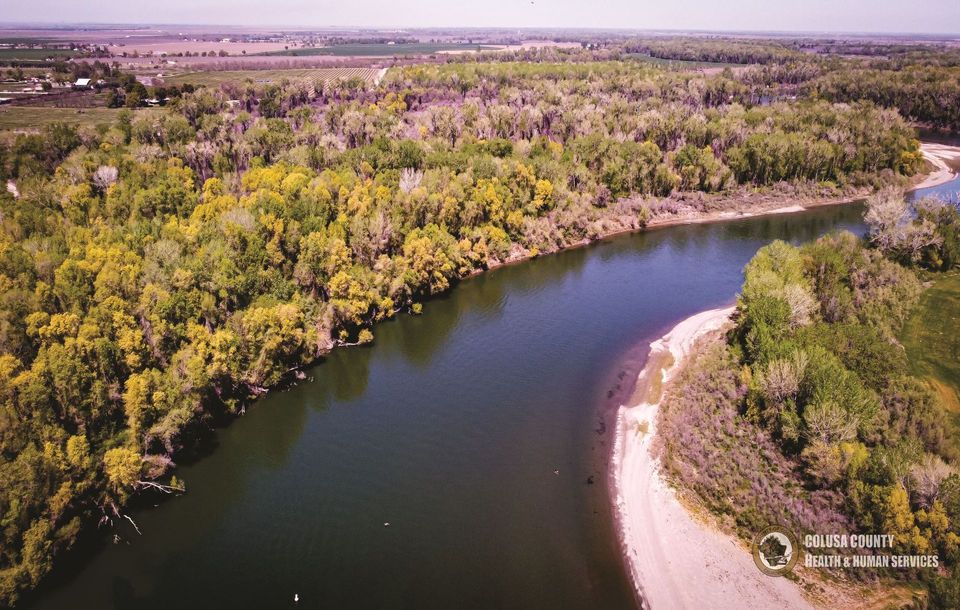 An aerial view of a river surrounded by trees