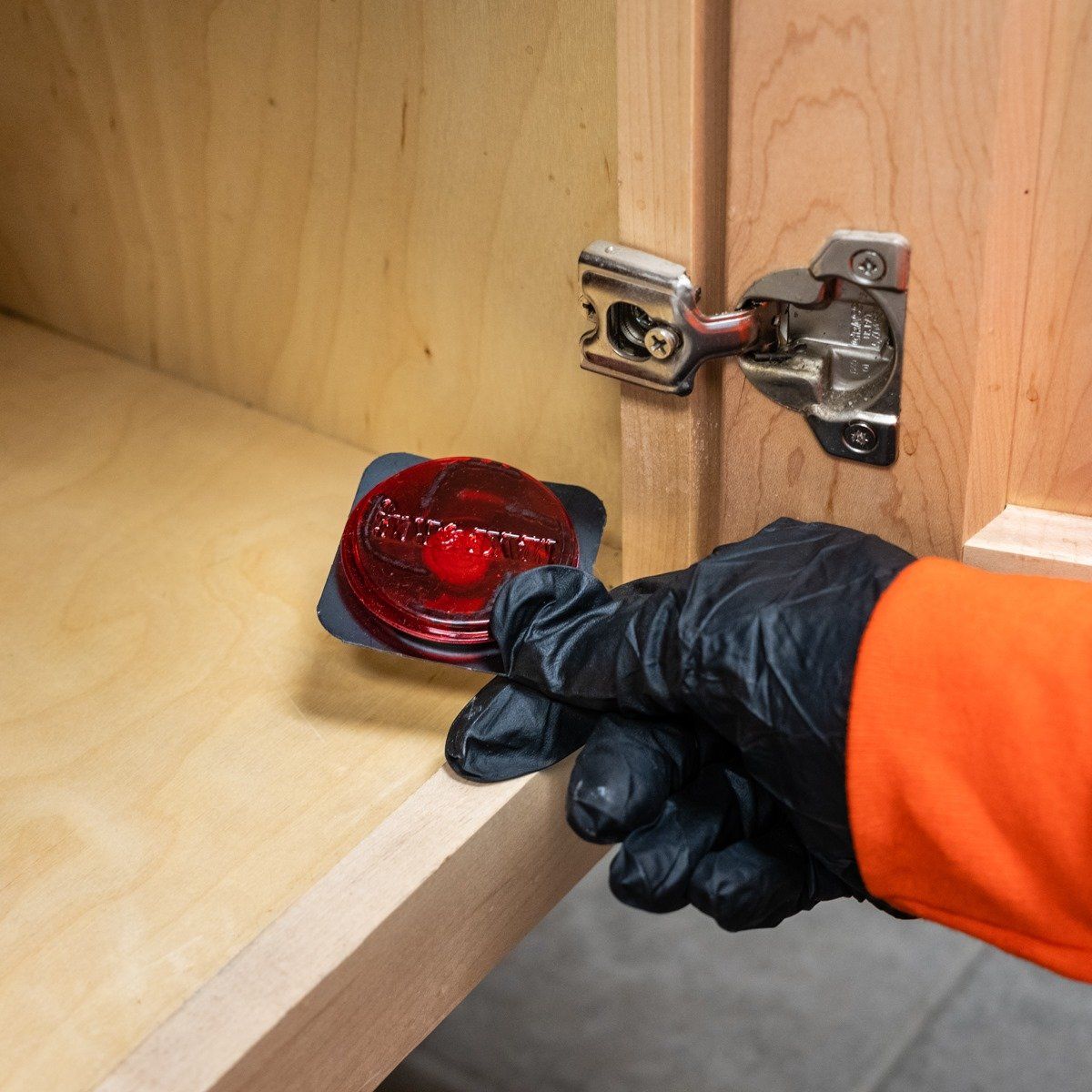 Red Alarm for Rat — Santa Fe, NM — Rocky Mountain Pest Control