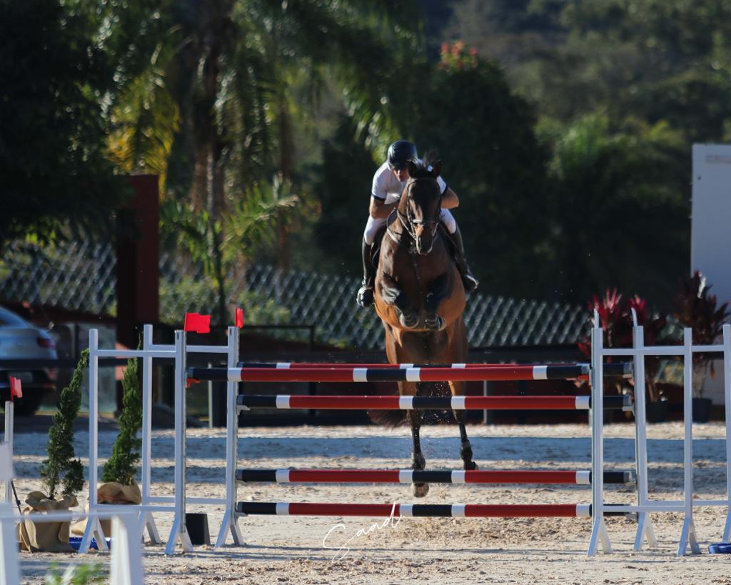 Disponível para Venda