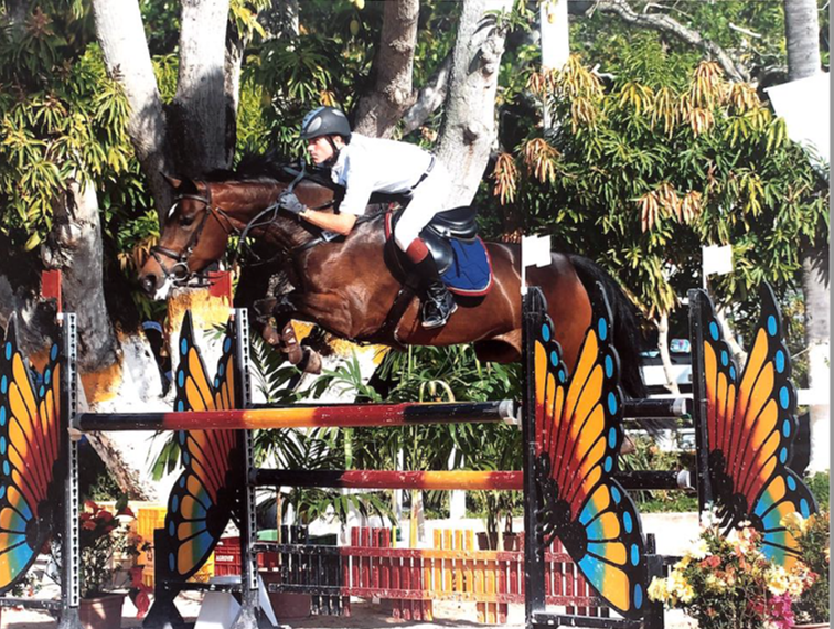 Importadora de cavalos