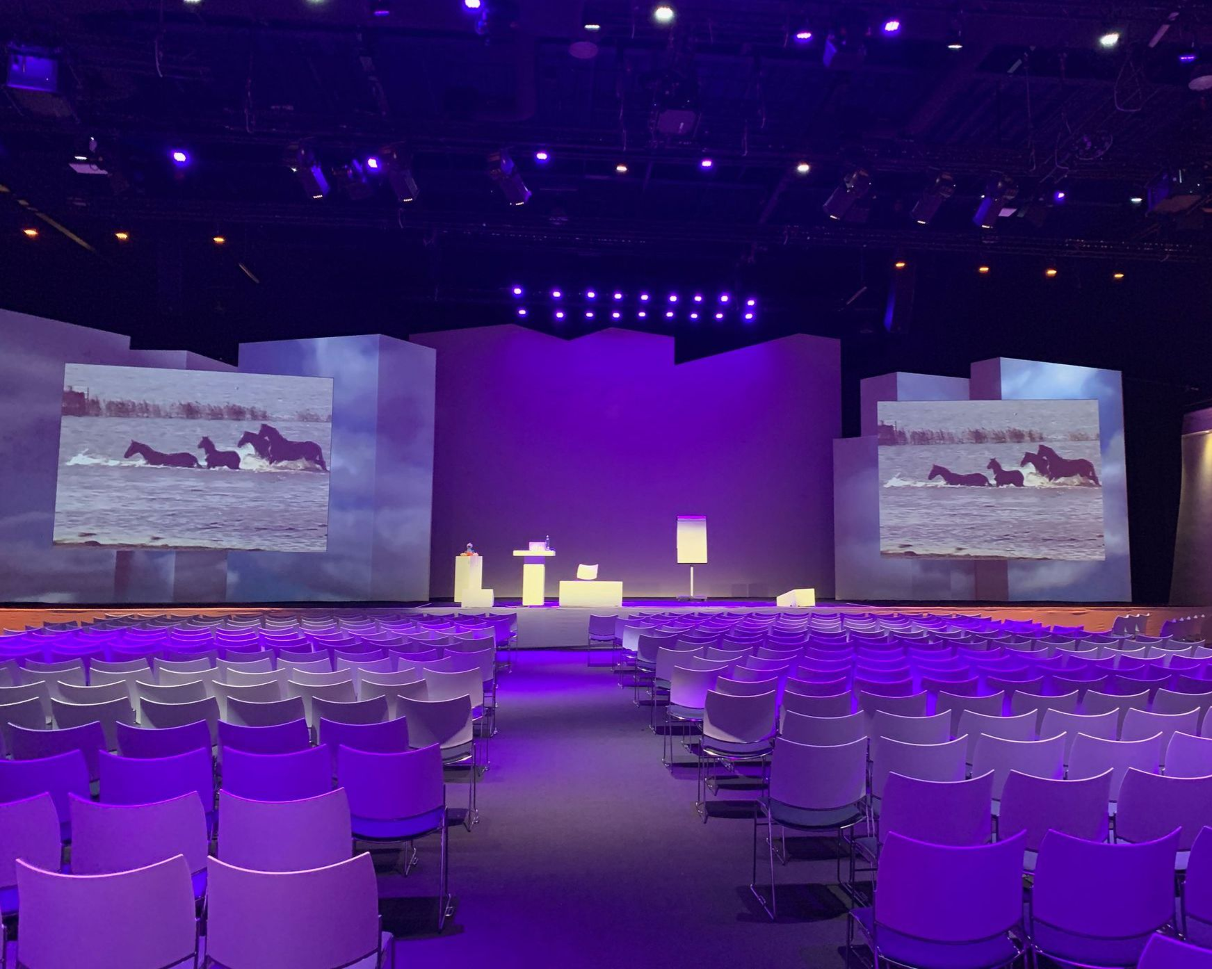 Een lege conferentiezaal, verlicht in paars, met een podium met schermen waarop paarden en rijen stoelen staan afgebeeld.