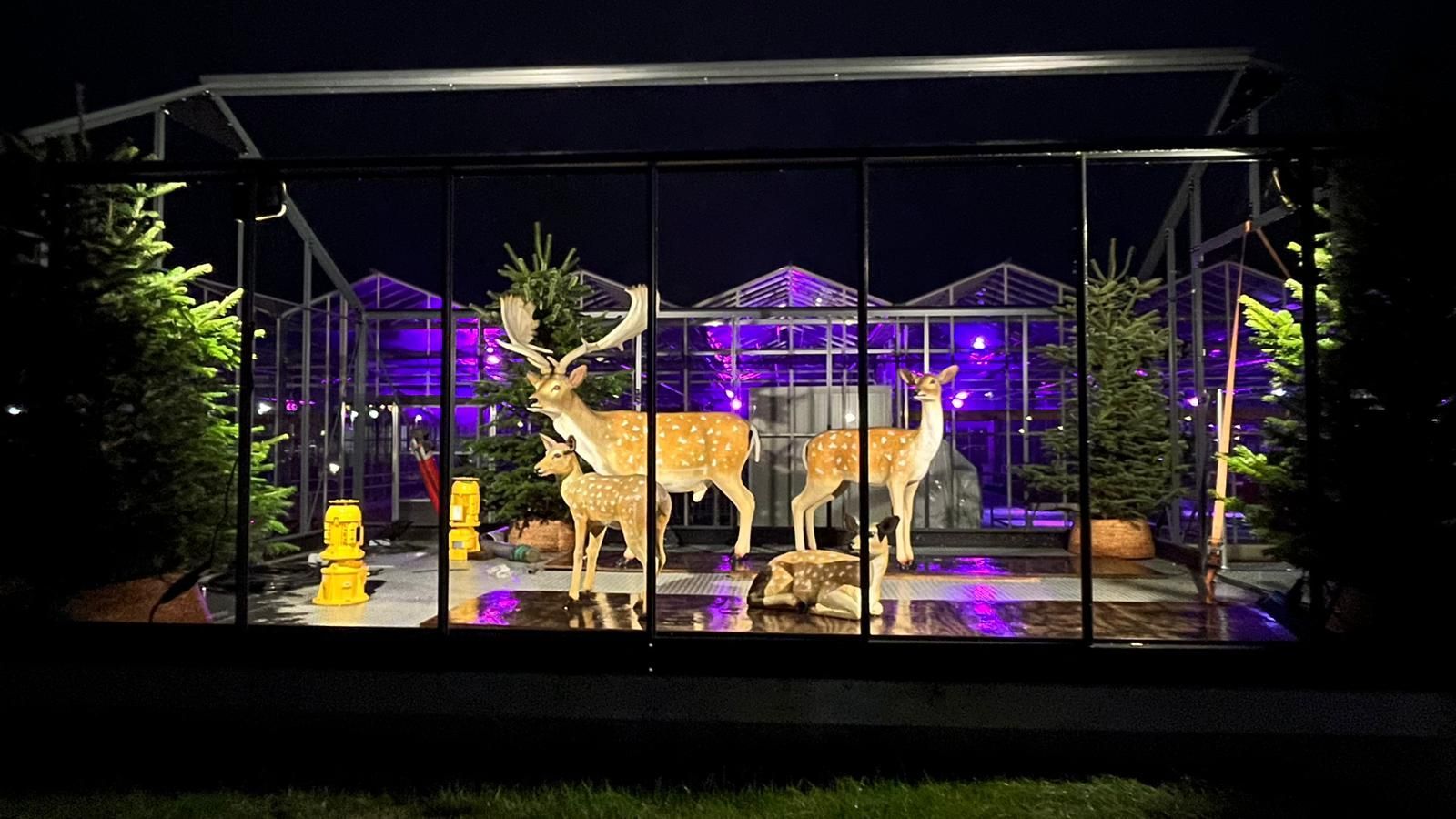Hertenmodellen in een glazen omheining 's nachts, met paarse verlichting en een kasachtergrond.
