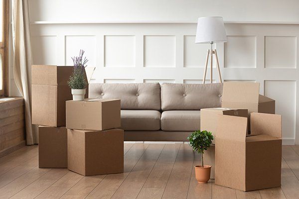 Residential Moving Services — Cardboard Boxes in Modern House Living Room in Albuquerque, NM