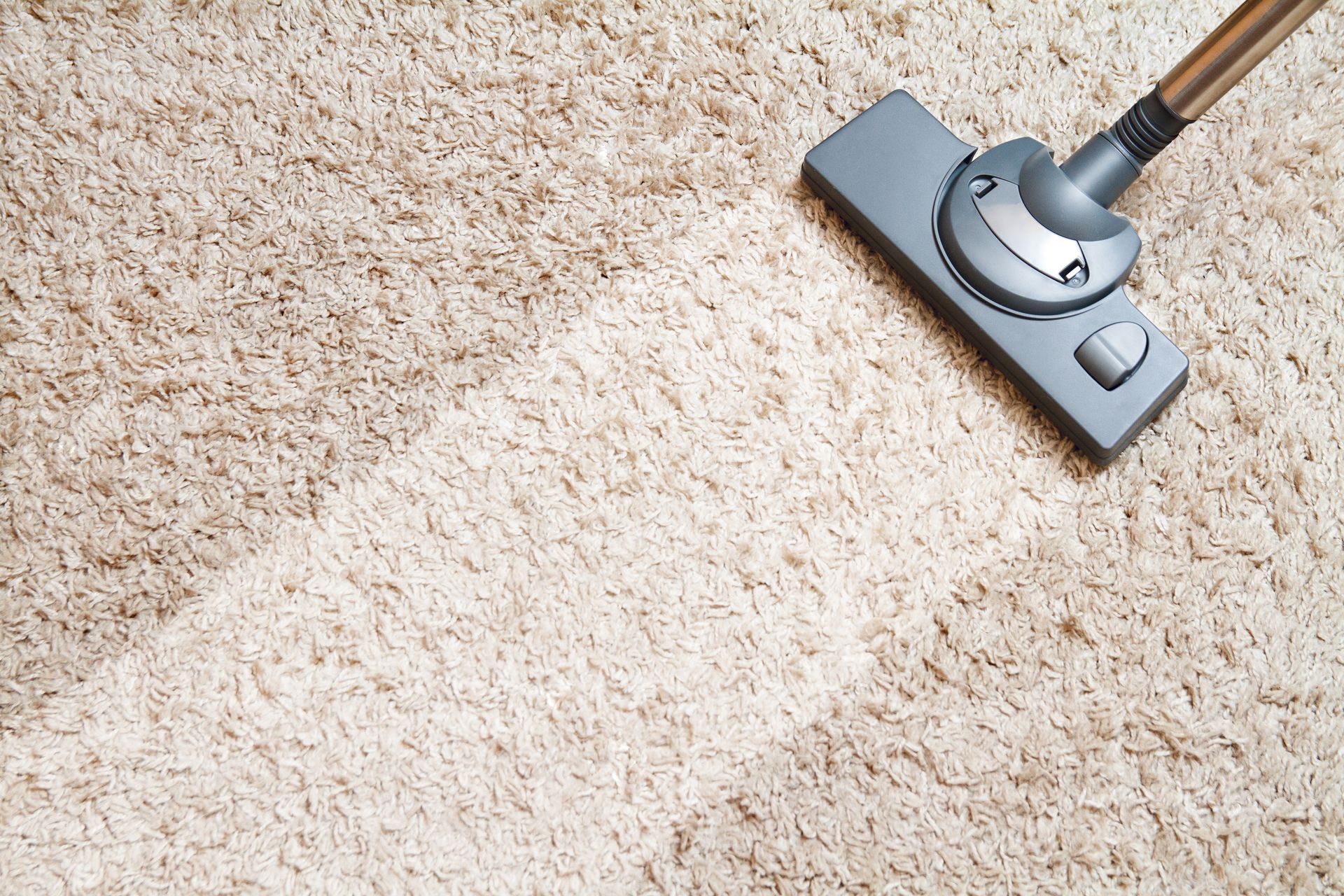 Vacuum cleaner head cleaning a beige carpet, showing a clean path.