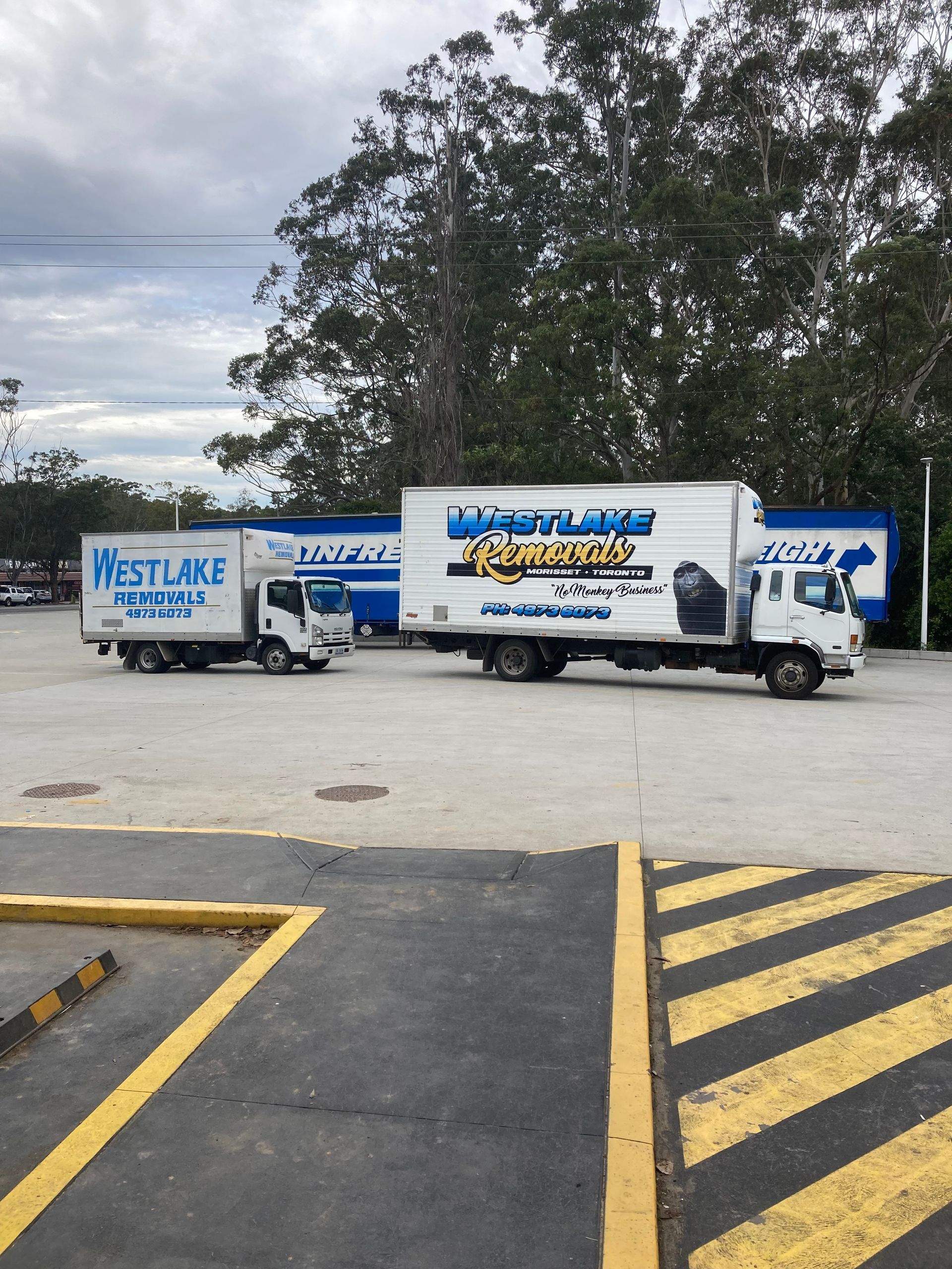 Two white delivery trucks parked in a lot. The trucks have company logos on their sides.