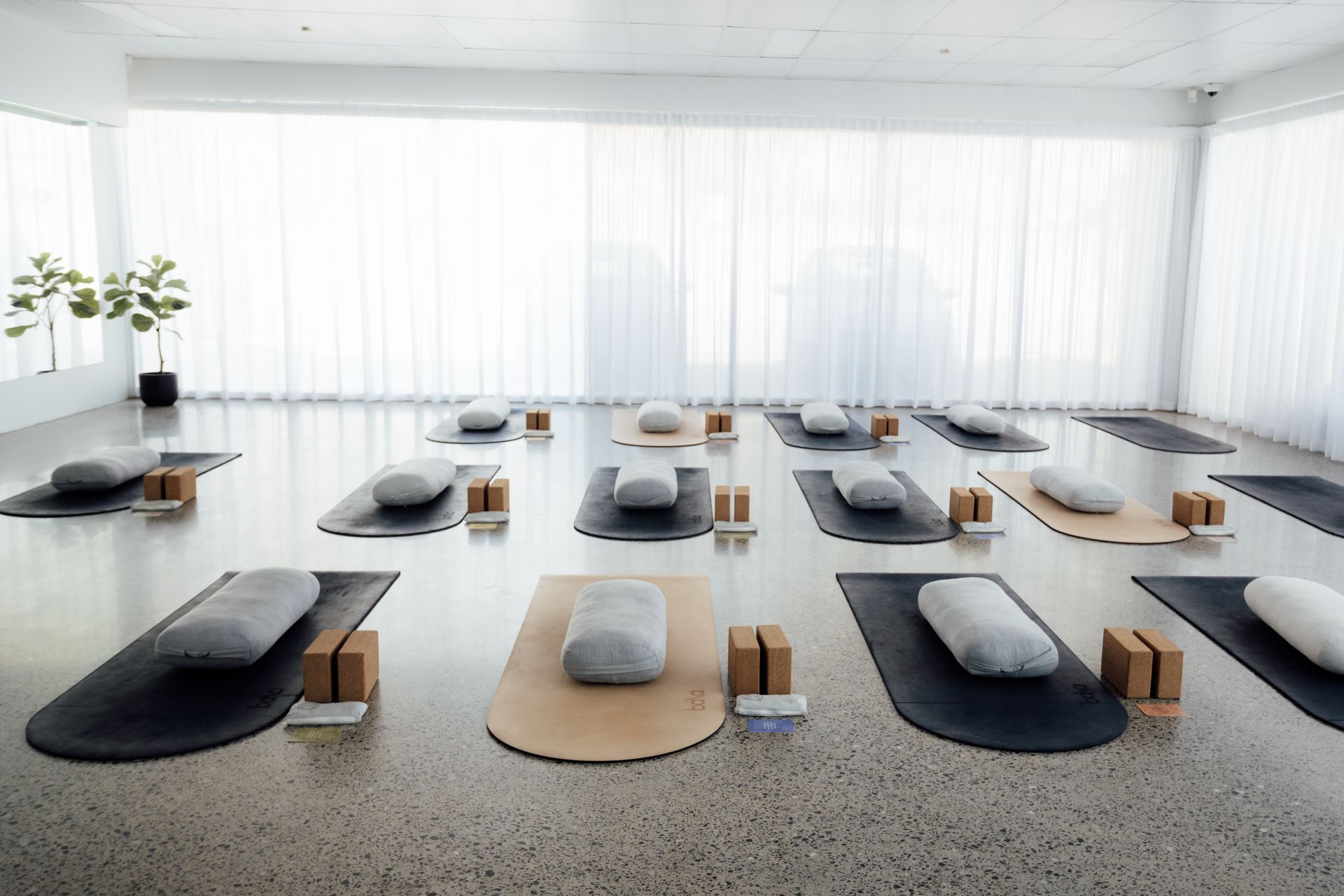 Yoga class set up with mats