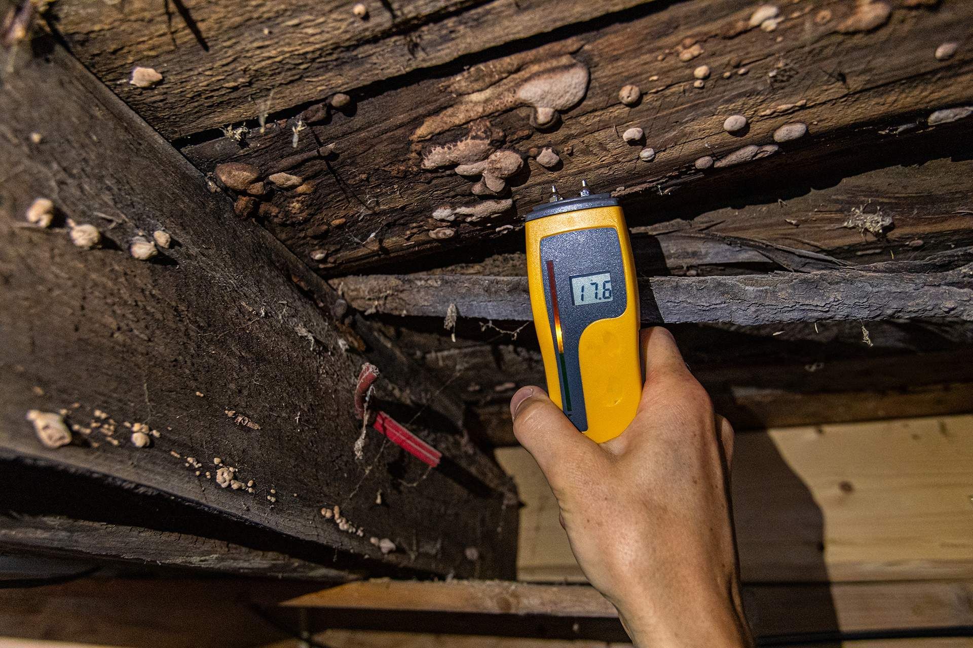 a person is using a moisture meter to check the moisture in a wooden structure .