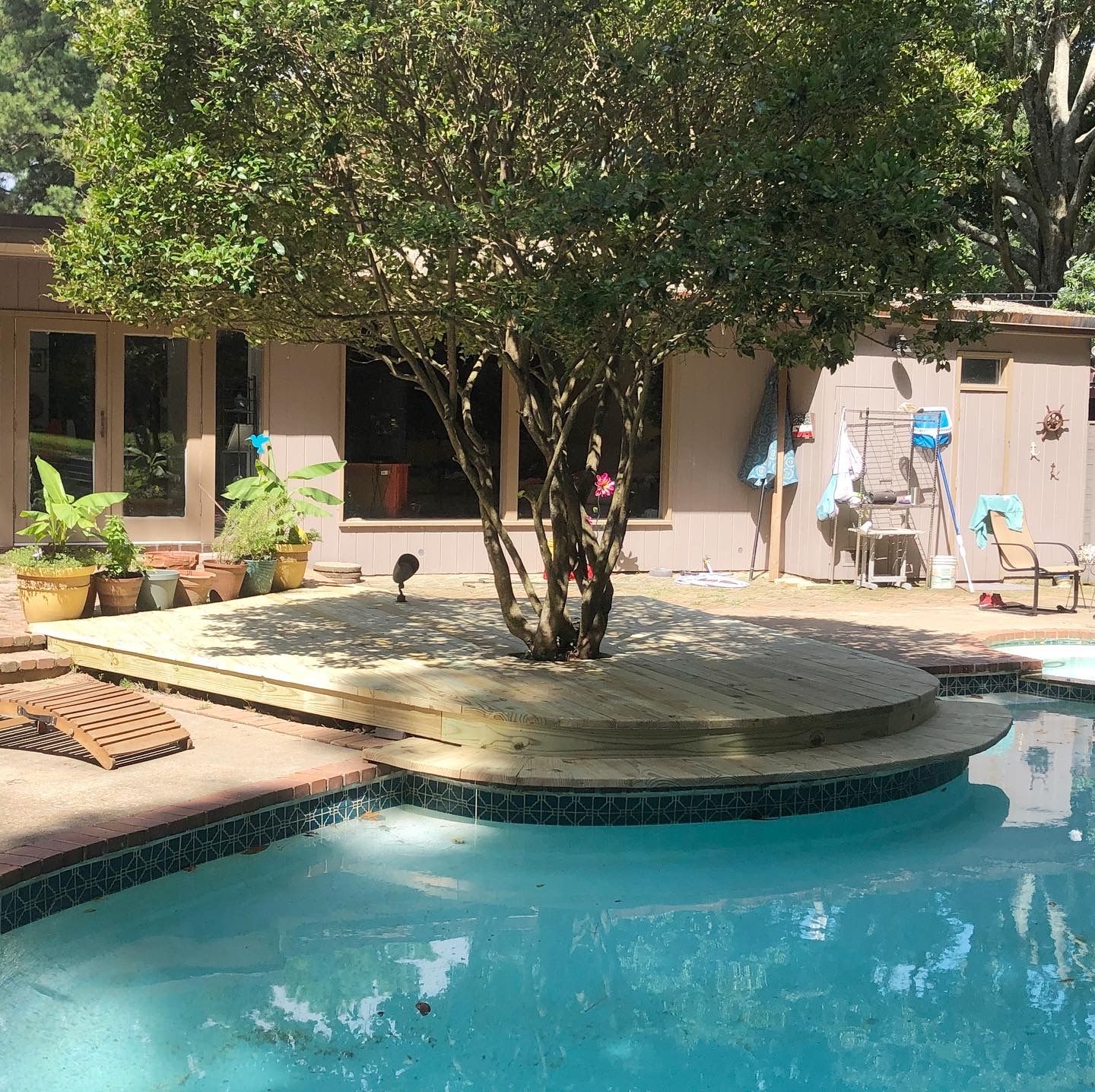 A swimming pool with a tree in the middle of it