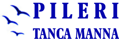 Lavanderia Tanca Manna Di Pileri Giovanni Franco - LOGO