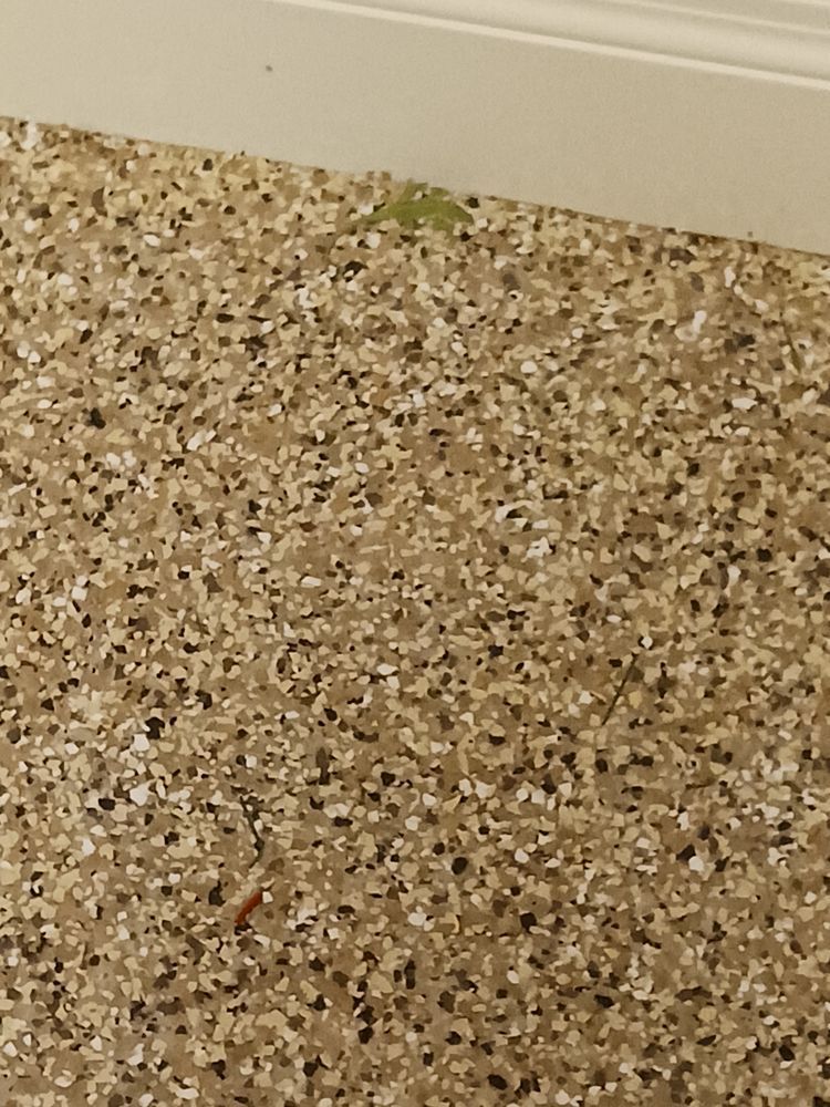 Tan, black, and white speckled flooring meets a white baseboard.