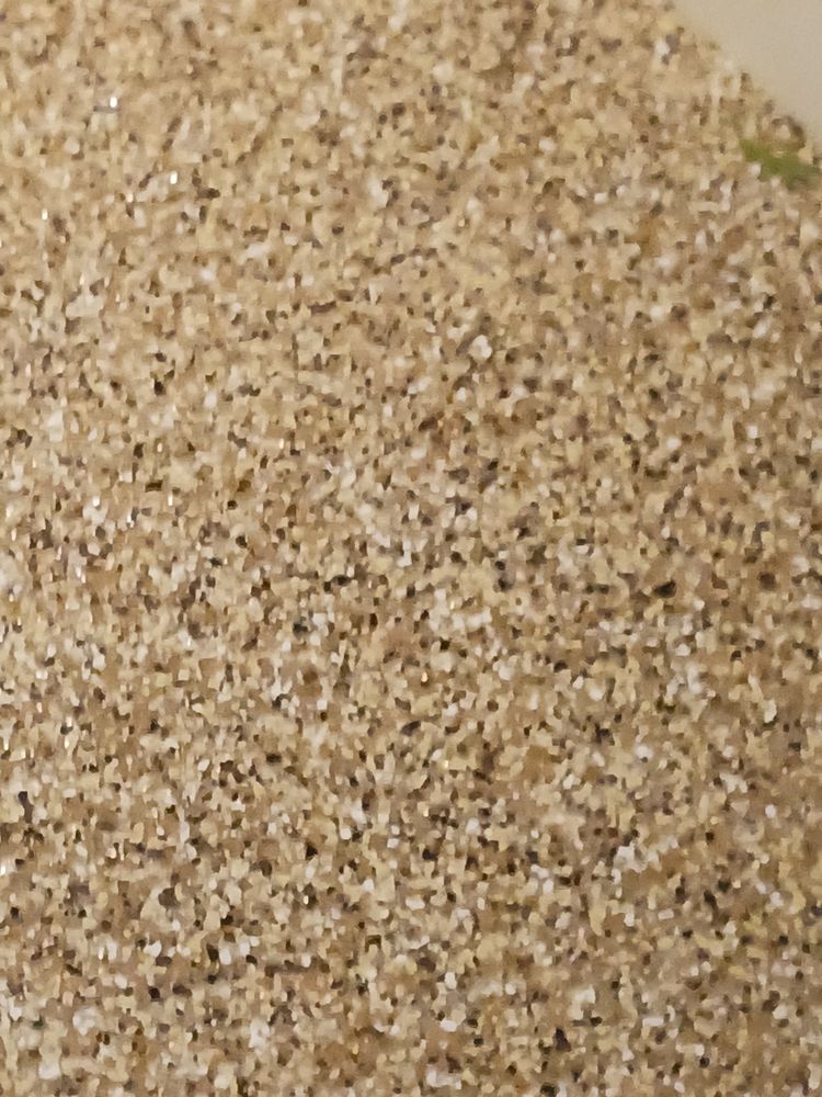 Close-up of beige sand with small, light-colored particles scattered throughout.