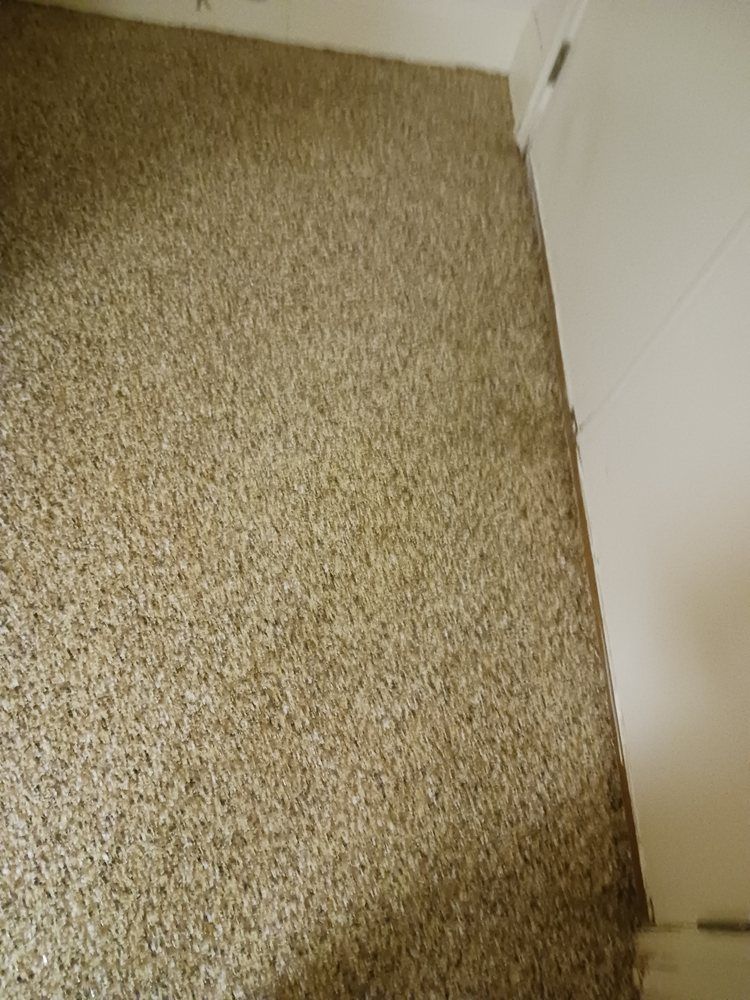 Tan carpeted floor next to a white wall.