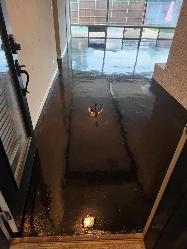 Wet, glossy black floor reflecting natural light from large windows. Entryway view.