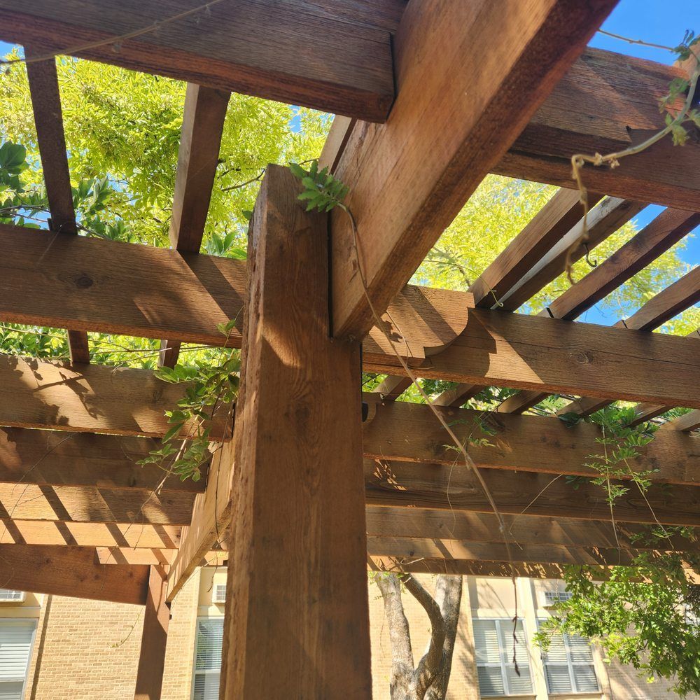 Wooden pergola with climbing vines, set against a backdrop of green trees and blue sky.