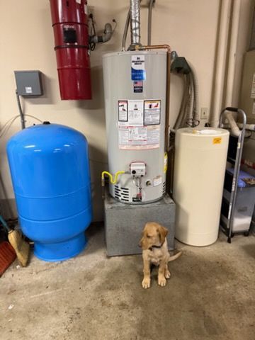 Small dog sitting in a utility room between blue and beige water tanks and a water heater