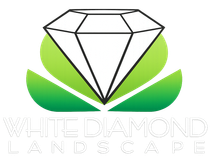 Logo for White Diamond Landscape featuring a diamond graphic resting on green, leaf-shaped forms.