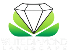 Logo for White Diamond Landscape featuring a diamond graphic resting on green, leaf-shaped forms.