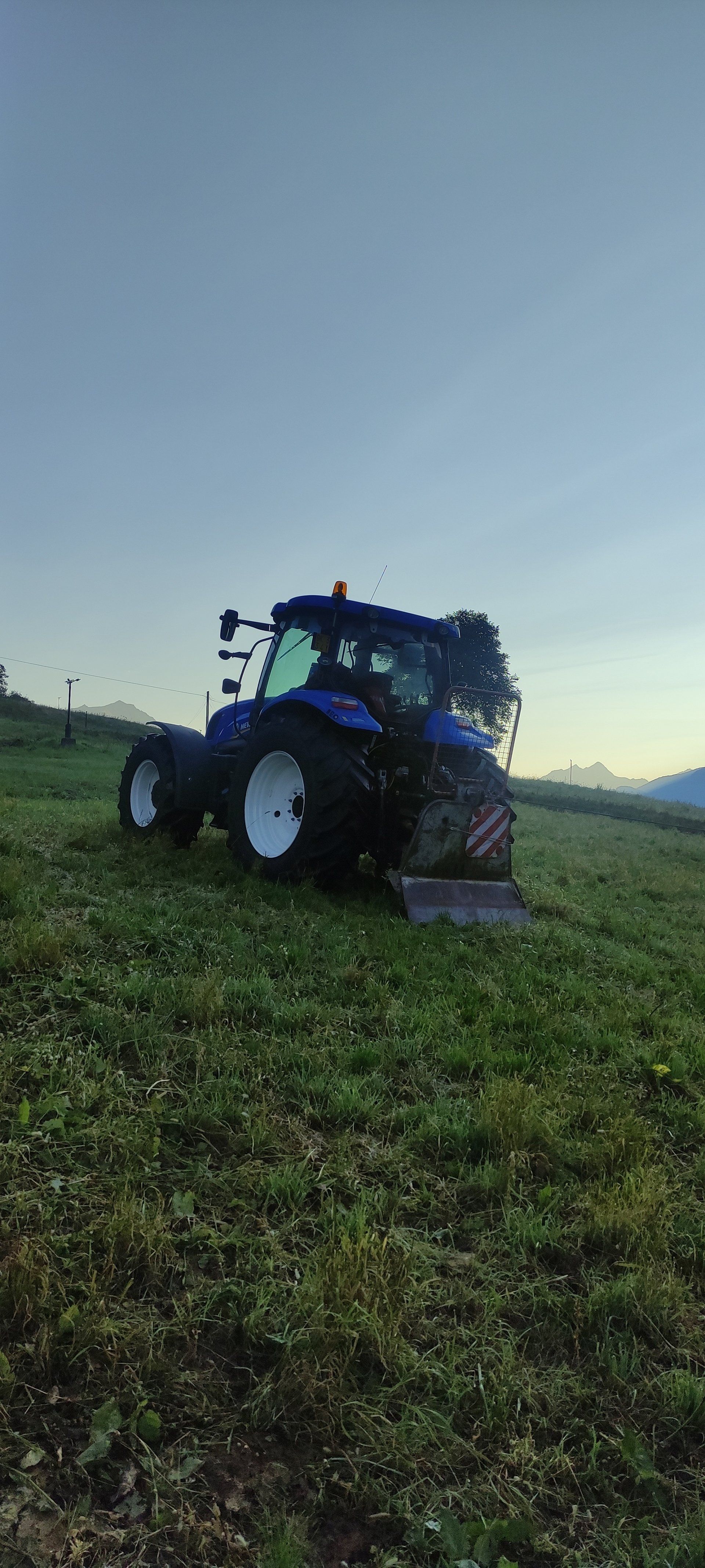 Servizio di taglio erba