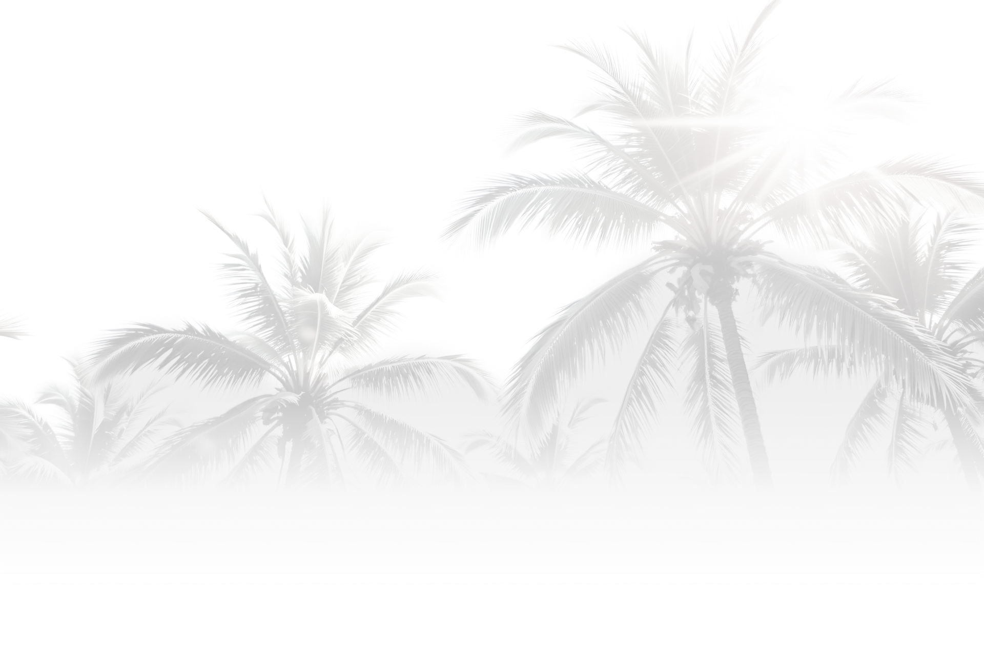 Palm trees silhouetted against a bright, hazy sky | I-75 Auto Repair and Towing