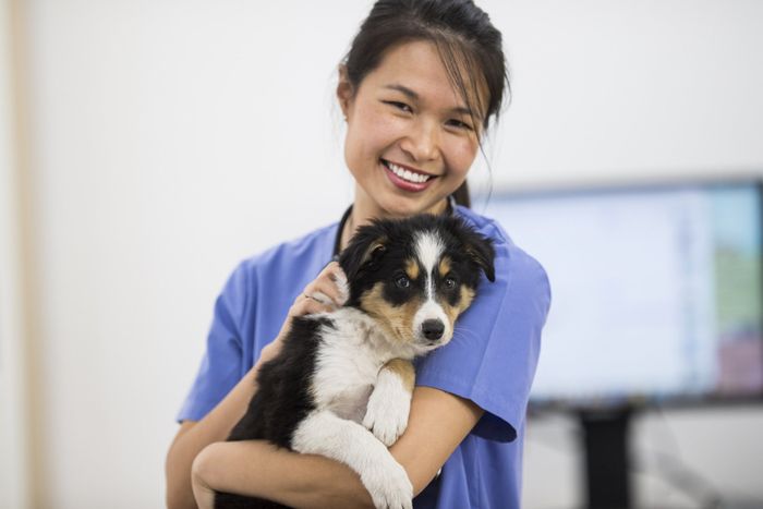 Woman With Dog — Beatrice, NE — Beatrice Animal Hospital