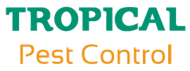 Termite & Pest Control in Mackay