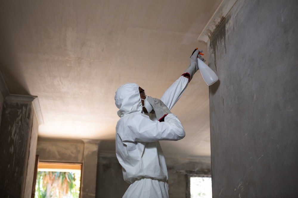 A Man In A Protective Suit Is Spraying A Wall With A Spray Bottle — Tropical Pest Control In Mackay, QLD