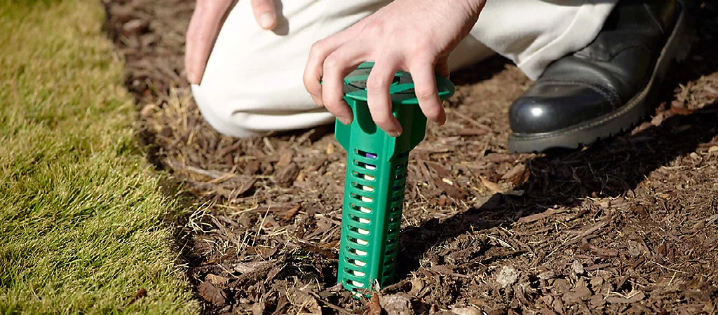 A Person Is Kneeling Down Holding A Green Object In The Dirt — Tropical Pest Control In Mackay, QLD