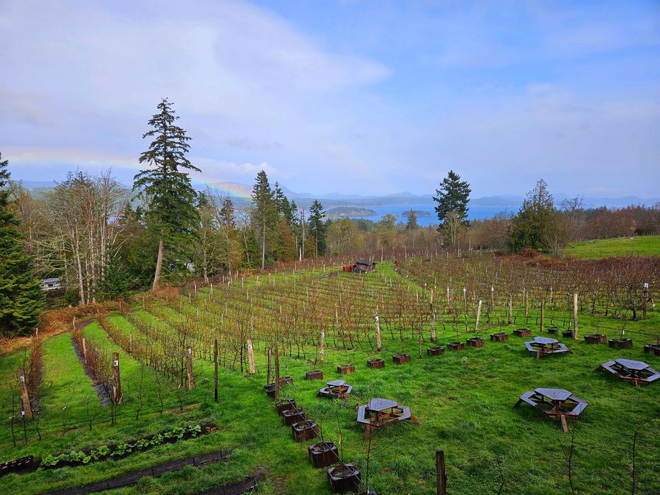 Salt Spring Ciderworks - vista