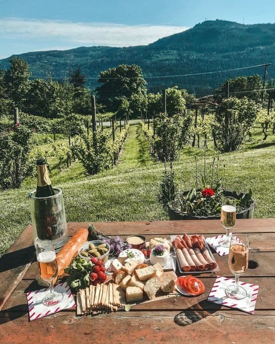 Salt Spring Vineyards