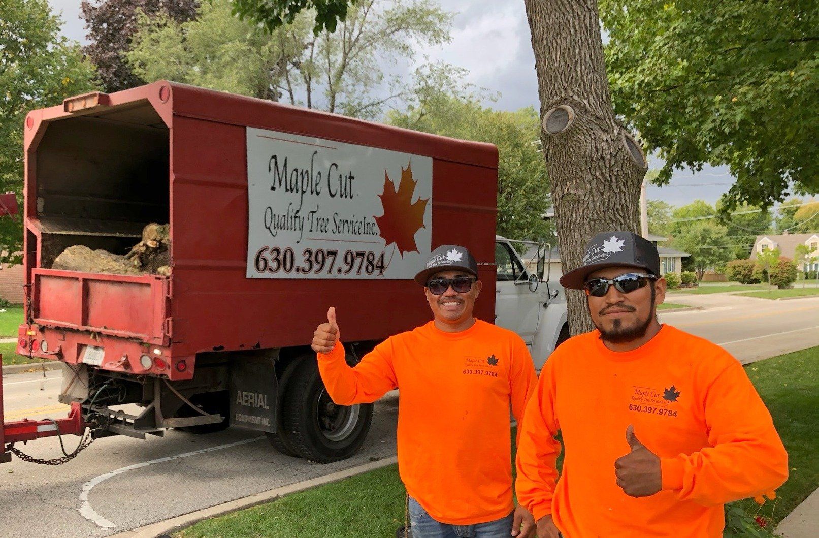 Top Rated Tree Service in Villa Park, Illinois